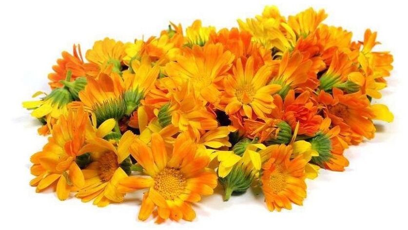 Estratto di calendula in Promicil